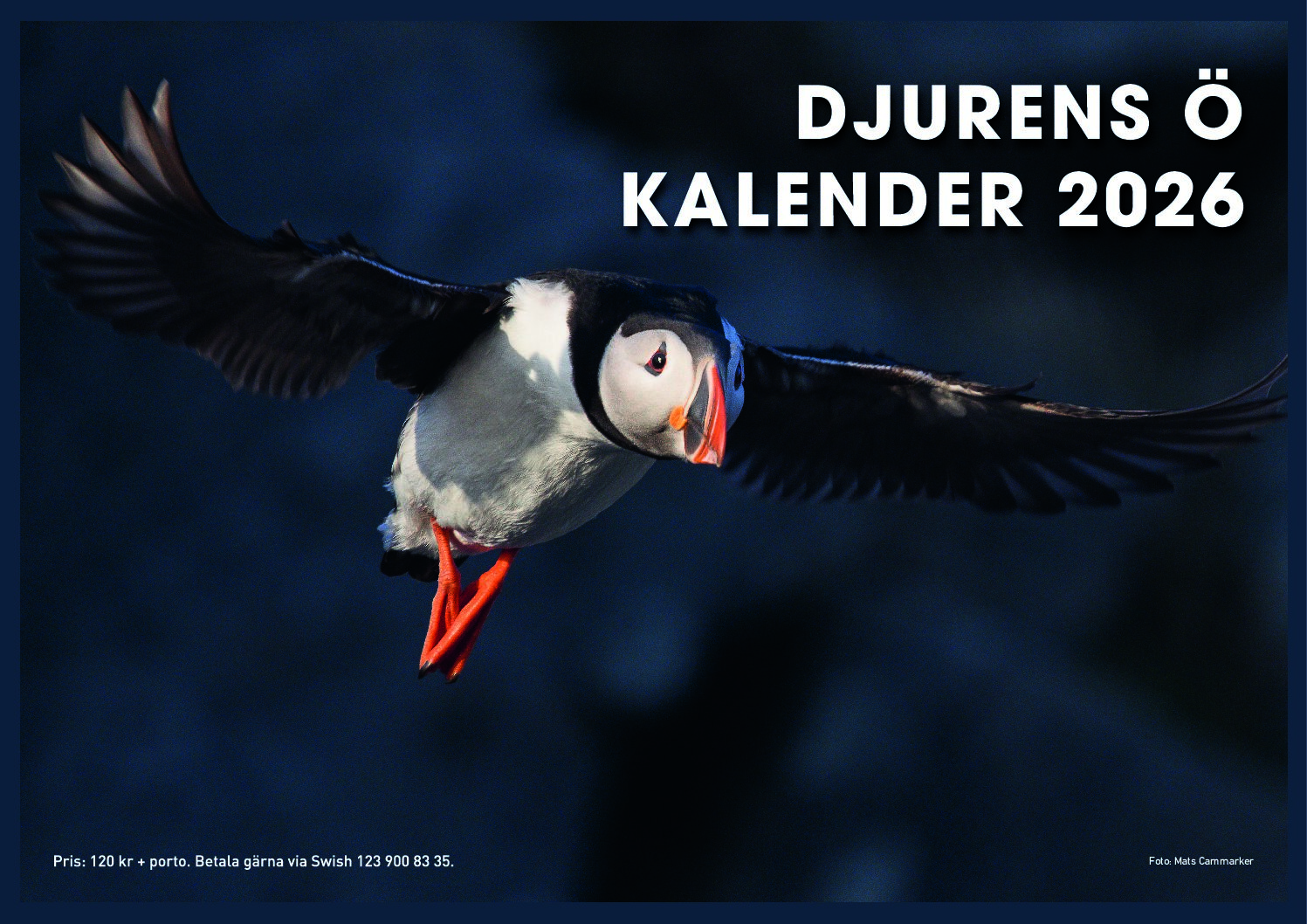 kalender 2026 framsida 1