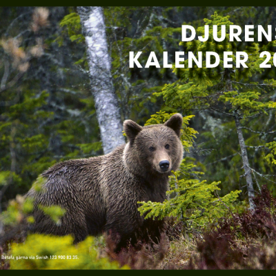 2027 års kalender